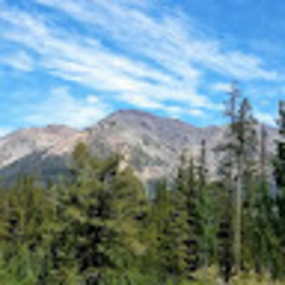 Meet your Posher, Tom - Picture 1 of 1